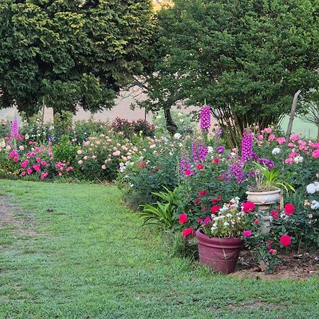 Piccadilly Farm Cottages Lions River Exteriér fotografie