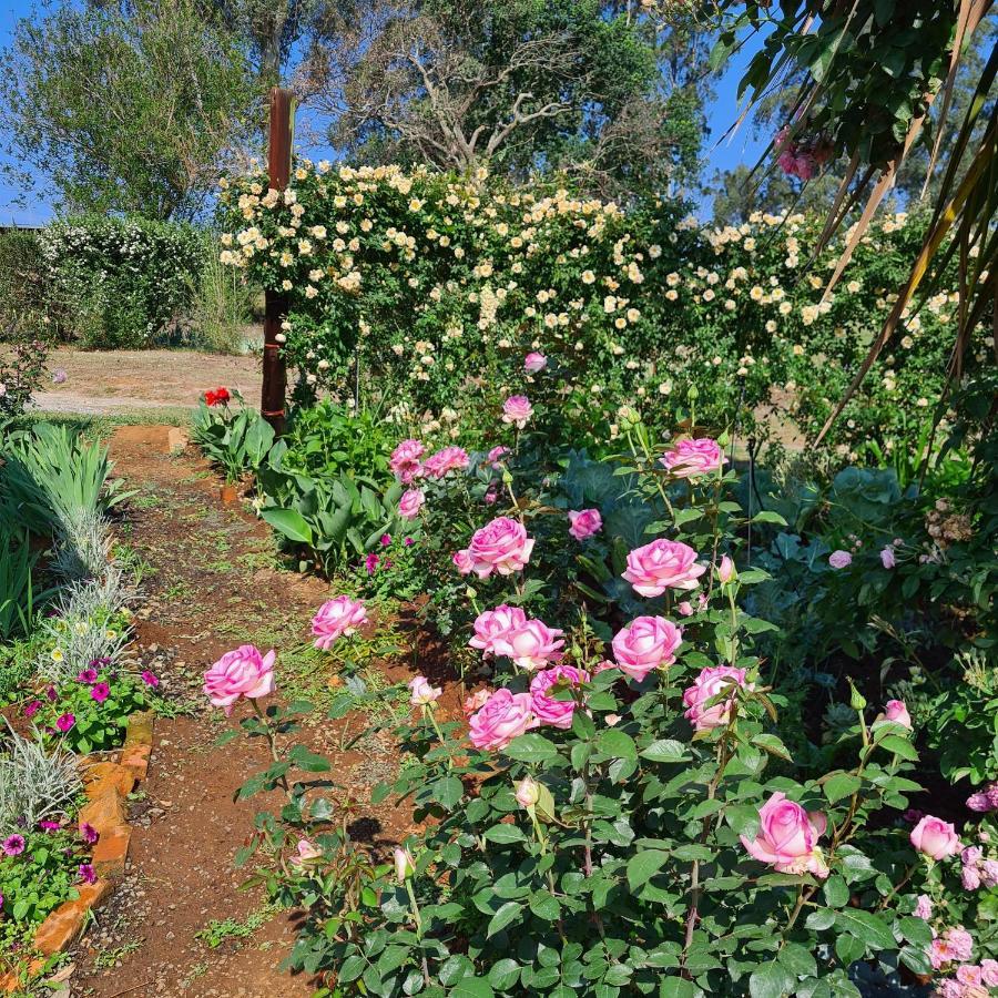 Piccadilly Farm Cottages Lions River Exteriér fotografie