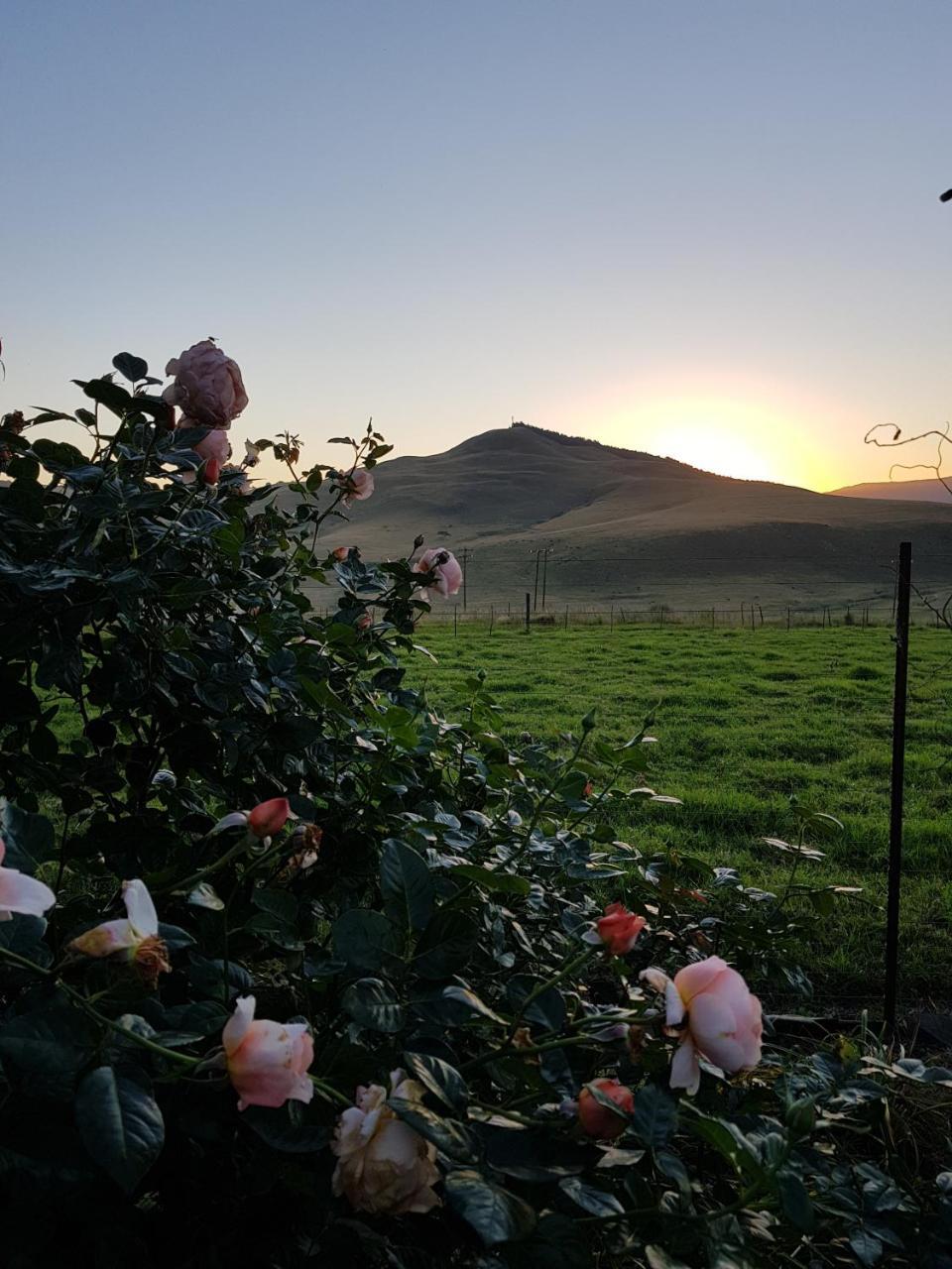 Piccadilly Farm Cottages Lions River Exteriér fotografie