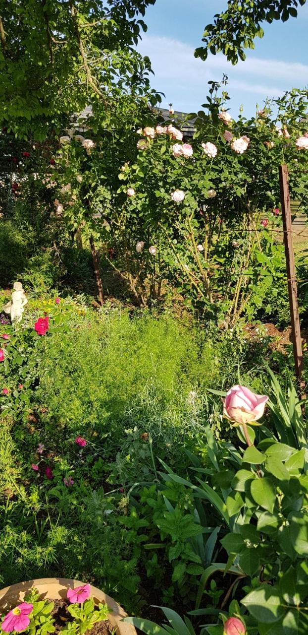 Piccadilly Farm Cottages Lions River Exteriér fotografie
