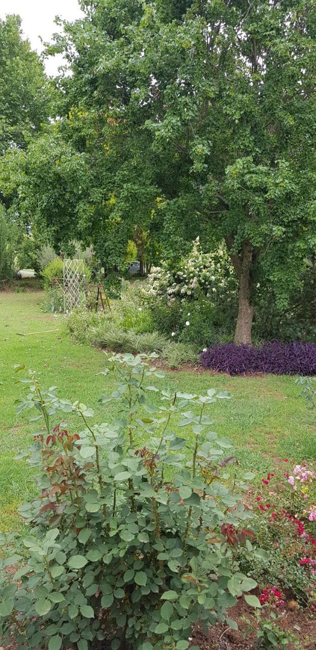 Piccadilly Farm Cottages Lions River Exteriér fotografie