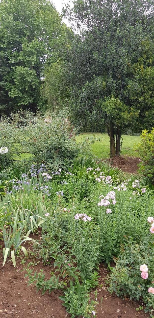 Piccadilly Farm Cottages Lions River Exteriér fotografie